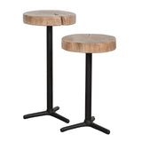 1. "Organic Martini Tables (Set Of 2) - Sustainable and Stylish Furniture"